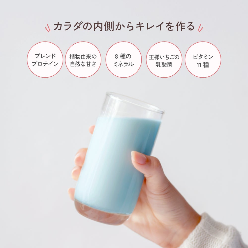 マイルーティーン ビューティープロテイン チョコミント風味 400g